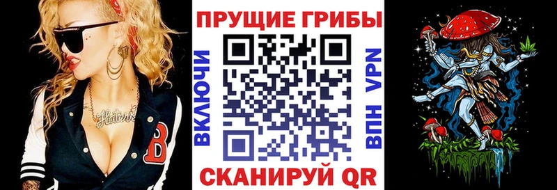 Галлюциногенные грибы Psilocybine cubensis  Старый Оскол 