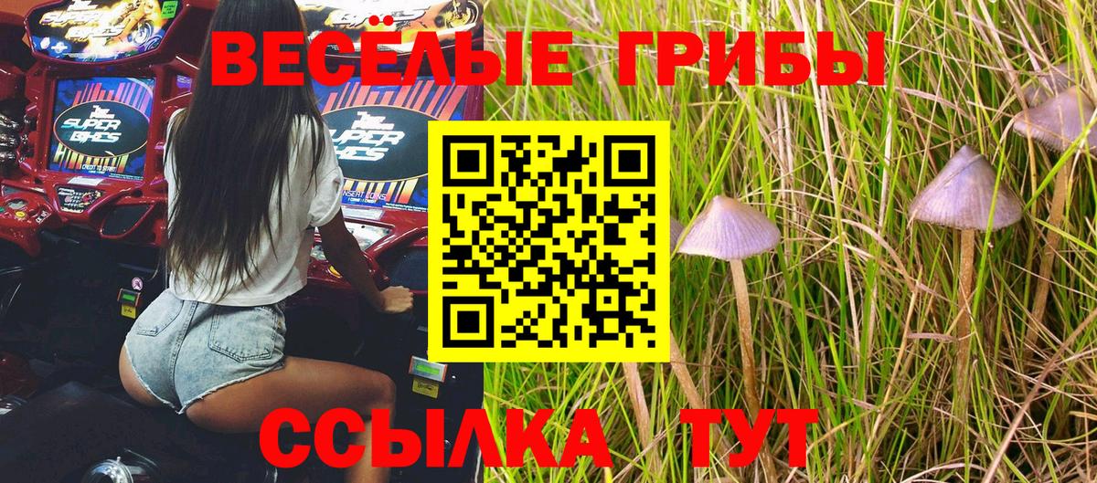 Старый Оскол  Псилоцибиновые грибы GOLDEN TEACHER  Вход с VPN 